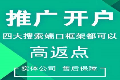 SEM运营公司案例解析：精准广告投放技巧